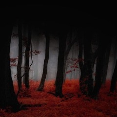 I didn’t think I’d Live This Long