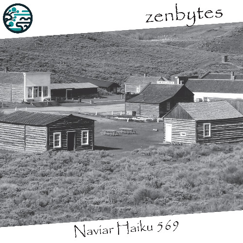 the shanty town - Naviarhaiku569