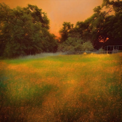fading innocence
