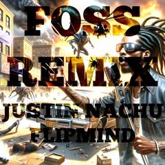 Justin Nachu - FOSS (RMX) ft. FLIPMIND