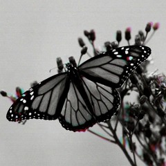 Keep Tryin (Tuerie motivation)