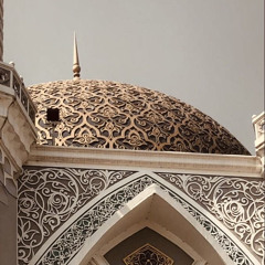 ‎⁨(وَأَنْ لَيْسَ لِلْإِنْسَانِ إِلَّا مَا سَعَى (39)) [النجم/ آية 39] ⁩