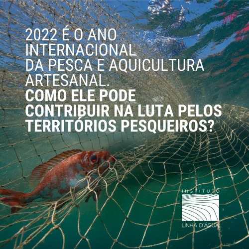 Diálogos na Linha D’Água - Episódio #2 - 2022: Ano Internacional da Pesca e Aquicultura Artesanal