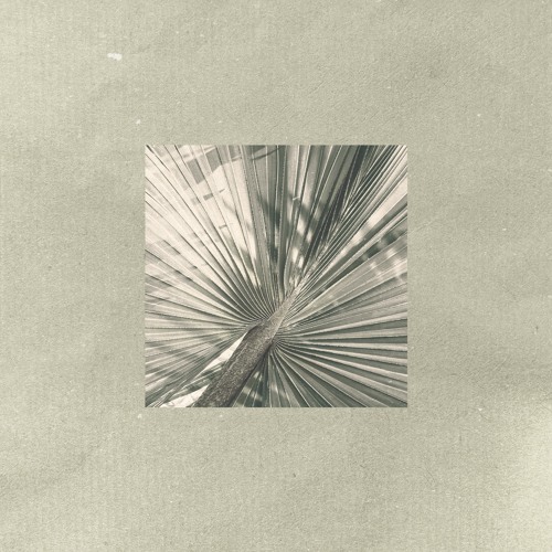 Wires (Free Download)