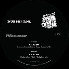 DS04 Chazbo - Commandment of Jah & Shaka Salute sample