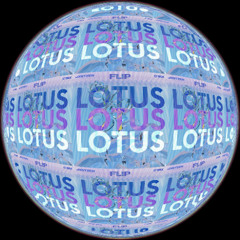 Lotus (Parookaville Anthem 2024) - JXSTZEN & C'Six Flip