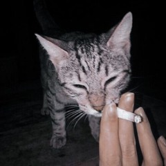 очень болею x mylancore