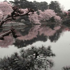 Online (prod. exclu)