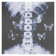 butterflies ft. plxntkid (prod. grayskies)