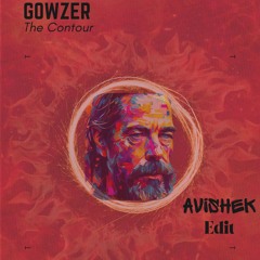 Gowser - The Contour (Avishek Edit)