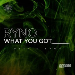 PREMIERE: Ryno - What You Got [Desvelo Music]