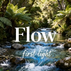 Flow