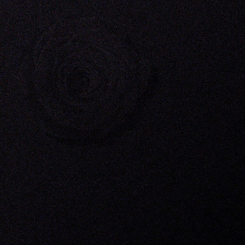 drn_1020