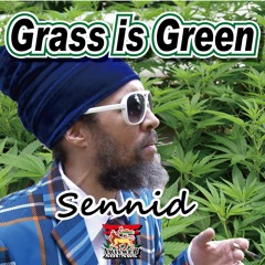 SENNID & IRIEWEB SOUND - GRASS IS GREEN