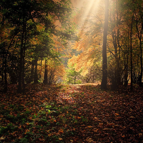 A State of Flow (Autumn 2025 Mix) [Progressive House]