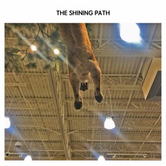The Shining Path Vol 1