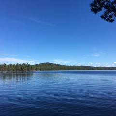 Maids Of The Mourne Shore