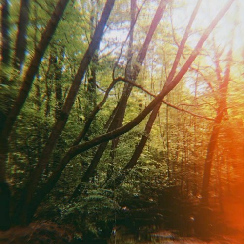 // ecstatic Heide - 11.10.20