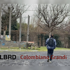 Colombiano grandi  - LBRD
