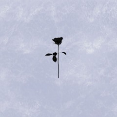 PREMIERE: Annett Gapstream - Obscurities Of Now (Original Mix) [Black Rose]