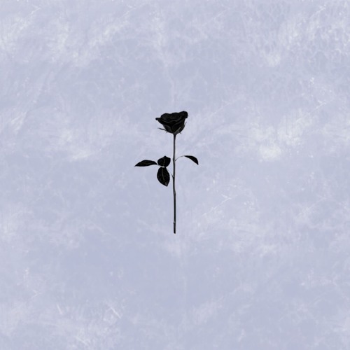 PREMIERE: Annett Gapstream - Obscurities Of Now (Original Mix) [Black Rose]