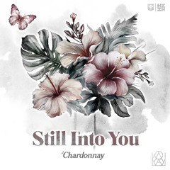 Chardonnay - Still Into You