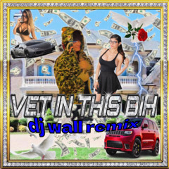 Vet in This Bih DJ Wall REMIX