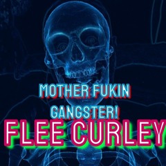 FLEE CURLEY - WAKE UP GANSTER [Uptempo Remix] (Free Download)