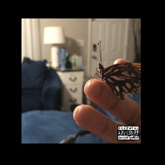 roc (freestyle) [PROD. DEADRISE]