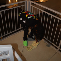 Bristol p. h2ndrx x goonrixh