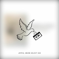 Joyful Union Select 043