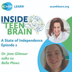 Inside the Teen Brain - A State of Independence