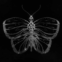 Celastrina @ Burn Night | Birgit, Berlin