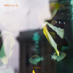 SONO-sfera/15 Seven