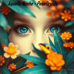 Aquella Noche - Reggaeton - PekeDruida Session 167