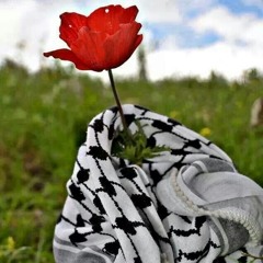 Refugee Song