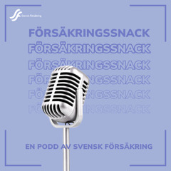 AI och försäkring: Möjligheter och utmaningar