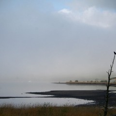 Crooked Crow - A children's Story in Rhyme