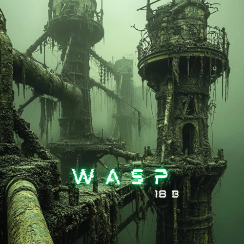 WASP-18B