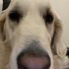 Drum and Basssssssssssssss