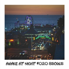 Awake at Night Podcast #020 8Souls