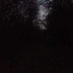 Day 5 - Unknown Night