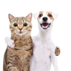 brothers