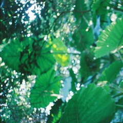 FOR YOUR EARS ONLY VOL 2: Sunday Brunch Live Set May 24 2020