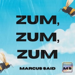 Melzinho (Marcus Said Remix)
