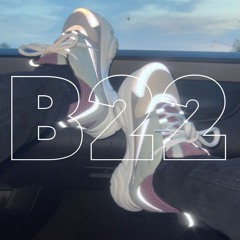 DIOR B22