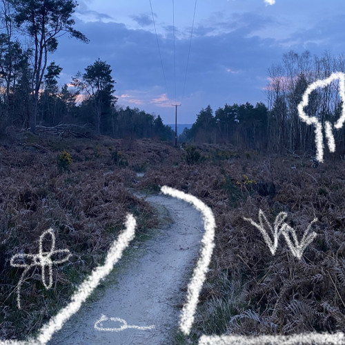 Roam in spring