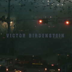 Victor Birdenstein