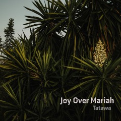 Joy Over Mariah - Tatawa