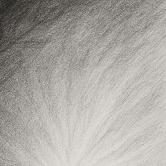 The Waeldt (World of Waeldt) [Main Theme]